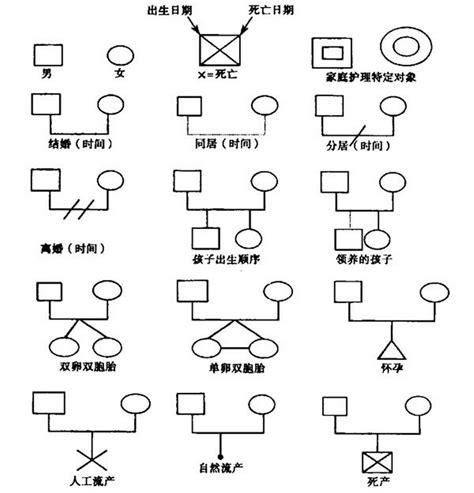 家庭關係圖